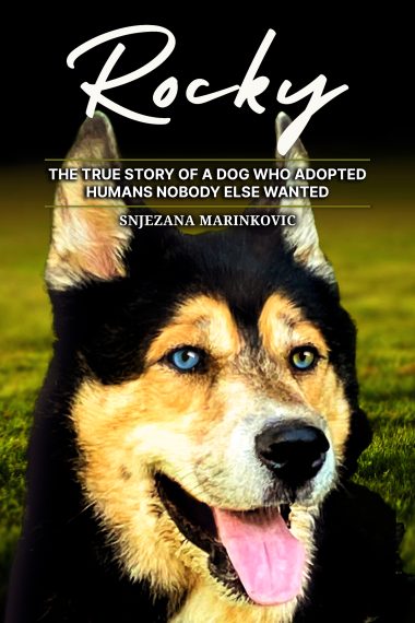 Rocky: The True Story of a Dog Who Adopted Humans Nobody Else Wanted