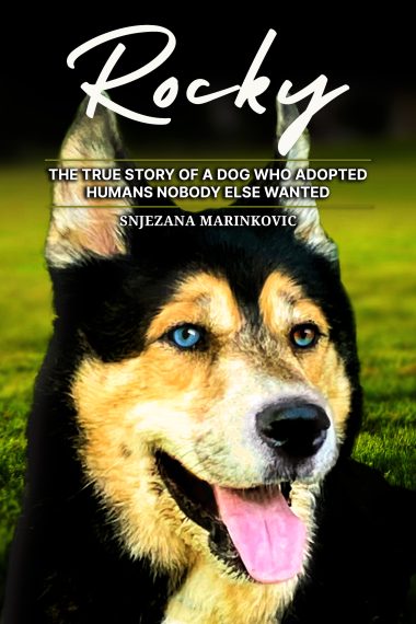 Rocky: The True Story of a Dog Who Adopted Humans Nobody Else Wanted