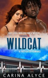 Fall in love with Wildcat: A Steamy Firefighter Romance